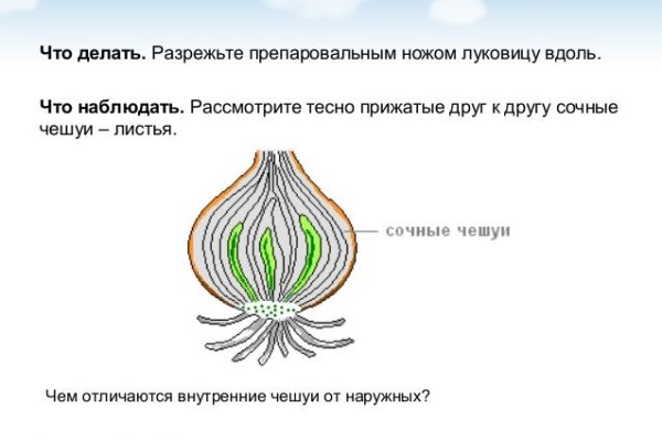 Можно вывести деньги с кракена