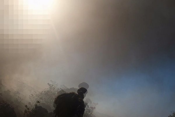 Сайты даркнета