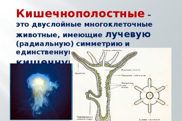 Услуги даркнета