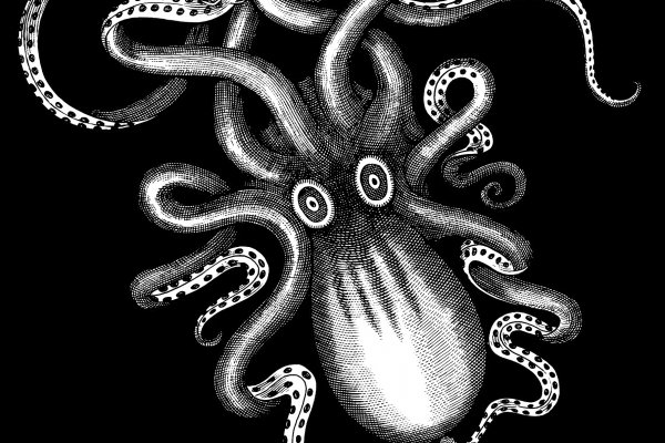 Kraken17 at