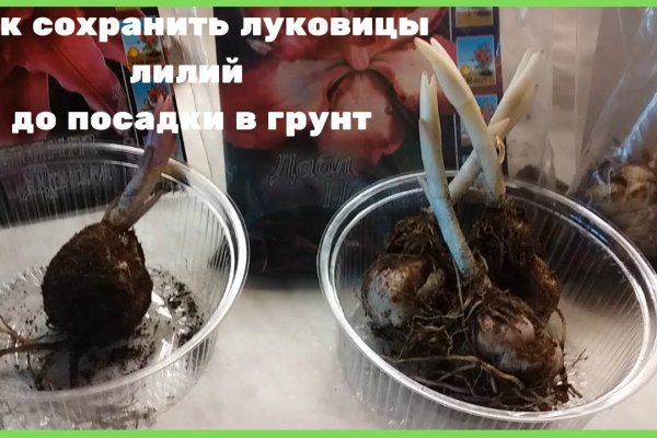 Ссылка на кракен тг