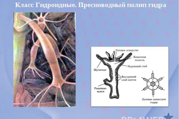 Кракен вход
