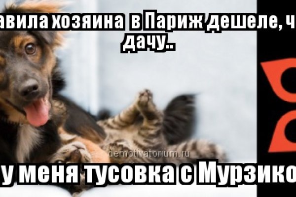 Кракен ссылка fo feng crmp ru