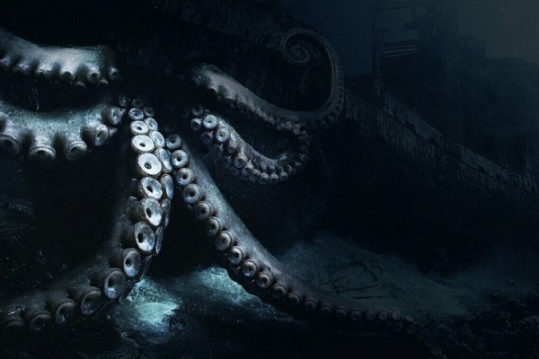 Kraken 6 at