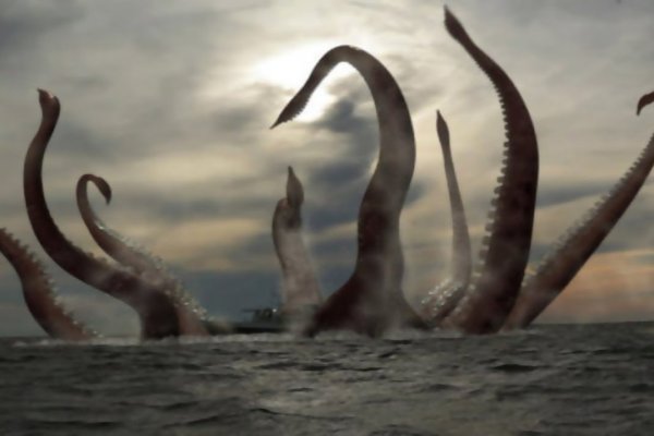 Kraken 12 att