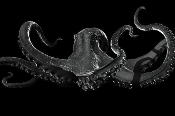 Kraken18 at